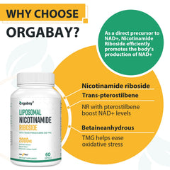 Orgabay pterostilbene and TMG ingredients visual for metabolism support