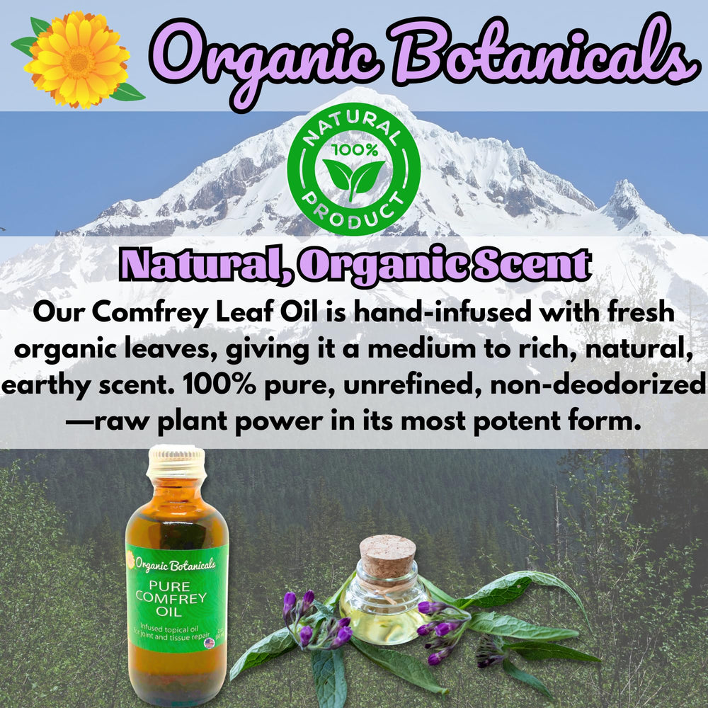 Organic Botanicals Comfrey Leaf Oil leg-use formula may support leg comfort.
