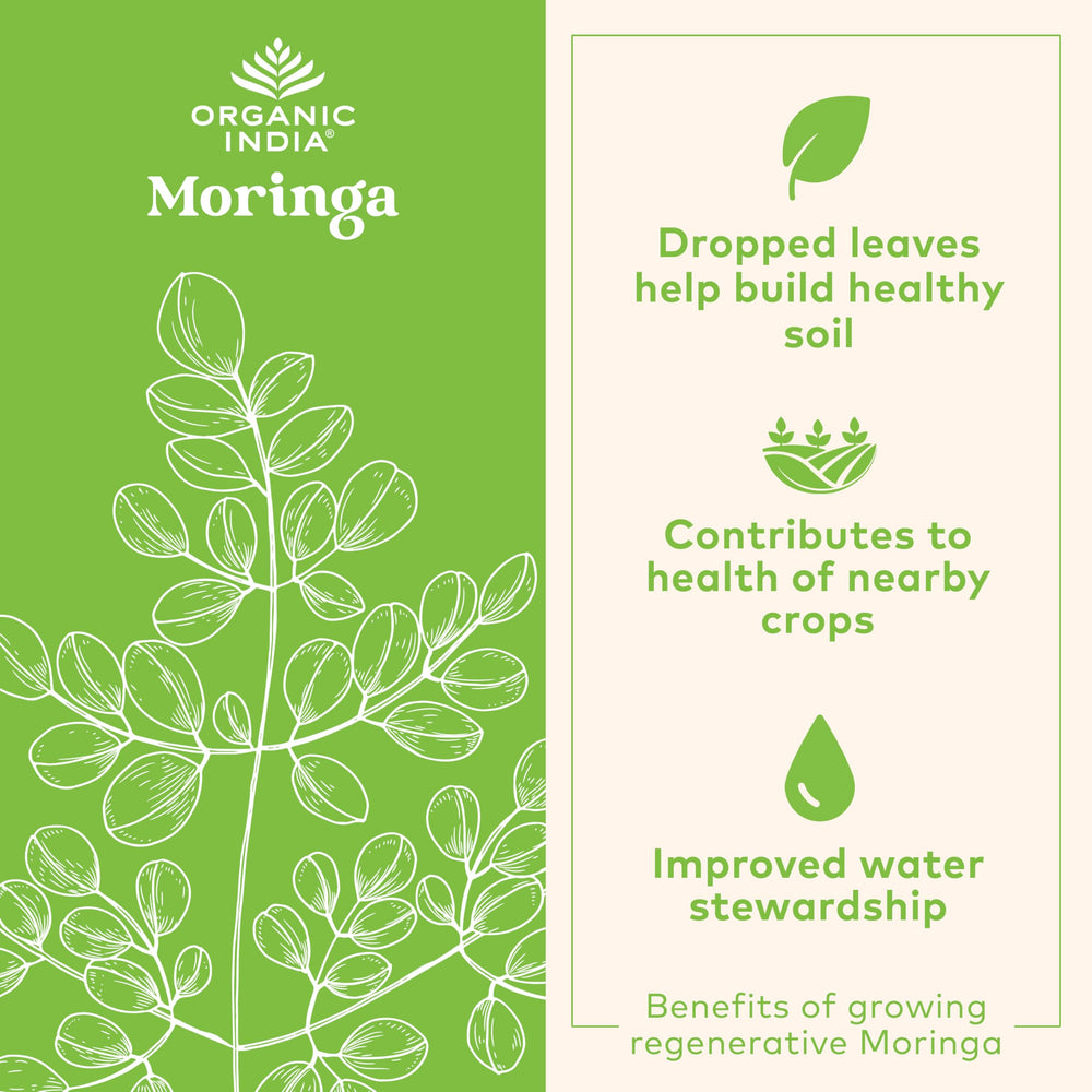 Organic India Moringa Oleifera leaves showcase natural, nutrient-dense source.