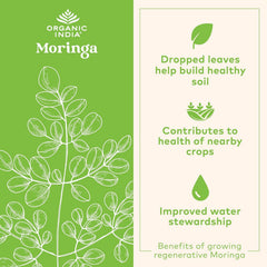 Organic India Moringa powder being added to a smoothie for energy support