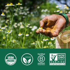 Organic India Neem capsules promoting immune balance and resilience.