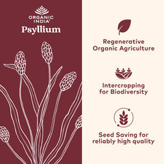 Organic India Psyllium powder pack of 2 for bulk fiber routine and vegan use