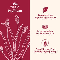 Organic India psyllium powder scoop ready for easy dosage.