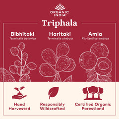 Closeup of Organic India Triphala capsules showing smooth texture for easy taking.