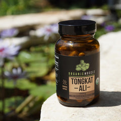 Organic Muscle Tongkat Ali beside water during a workout.