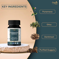 Closeup of Organic Spree Punarnavadi Guggulu tablets showing texture for daily use.