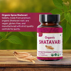Organic Spree Shatavari bottle in hand for convenient daily supplementation.