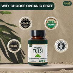 ORGANIC SPREE Tulsi tablets in GMP-certified facility imagery