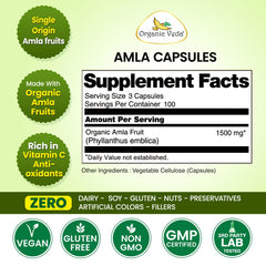 Organic Veda amla fruit powder close-up highlighting natural origin and texture