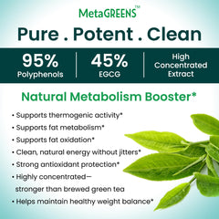 Organic Veda MetaGREENS capsules beside water for easy daily intake.