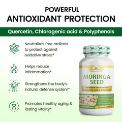 Organic Veda Moringa Seed Capsules in morning routine setting for focus