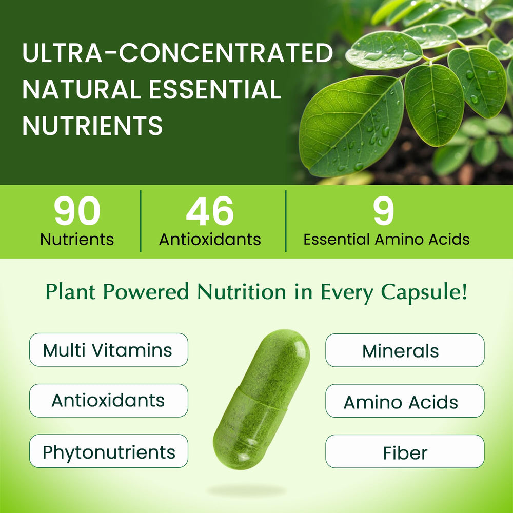 Organic Veda Moringa leaves powder closeup emphasizes nutrient-dense greens.