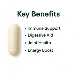ORGANICS NATURE Allergen-free vegan sea moss capsules for daily use