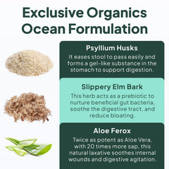 Pill tray with Organics Ocean Better Fiber capsules, ready for routine.