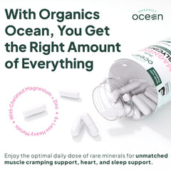 Organics Ocean Dead Sea sourced ingredients graphic highlights mineral-rich origins