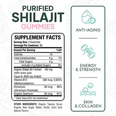 Organics Ocean Shilajit Gummies bottle back highlighting minerals and purity.