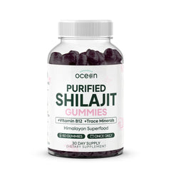 Organics Ocean Shilajit Gummies bottle front showing energy support.