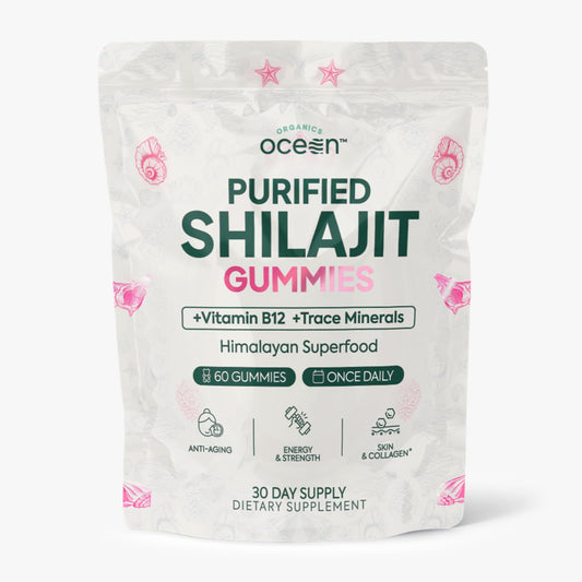 Organics Ocean Shilajit Gummies bottle with pumpkin cocoa flavor for daily energy.