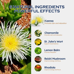 ORGANIHERBENCE kanna drops in water demonstrates quick, convenient mixing.