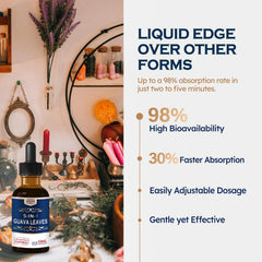 ORGANIHERBENCE mulberry leaf drops support daily balance and wellness routines.