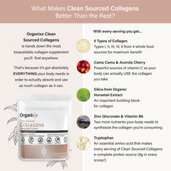 Organixx collagen powder added to a smoothie bowl for a protein-rich boost.