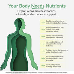 Organixx Greens organic label highlights clean ingredients.