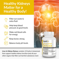 Organixx Toxin filter support image showing detox-friendly herb blend.
