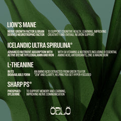 Orlo Focus & Memory Gummies Lion’s Mane ingredient hint supporting cognitive comfort.