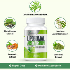Osasuna bottle with 60 softgels for convenient two-month supply.