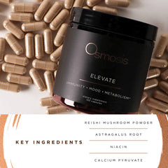 OSMOSIS Elevate mood-clarity scene suggests mental energy and focus during demanding days.