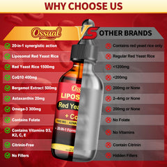 Ossual USA GMP facility seal for safety and quality
