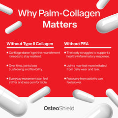 OsteoShield type II collagen hinting cartilage nourishment