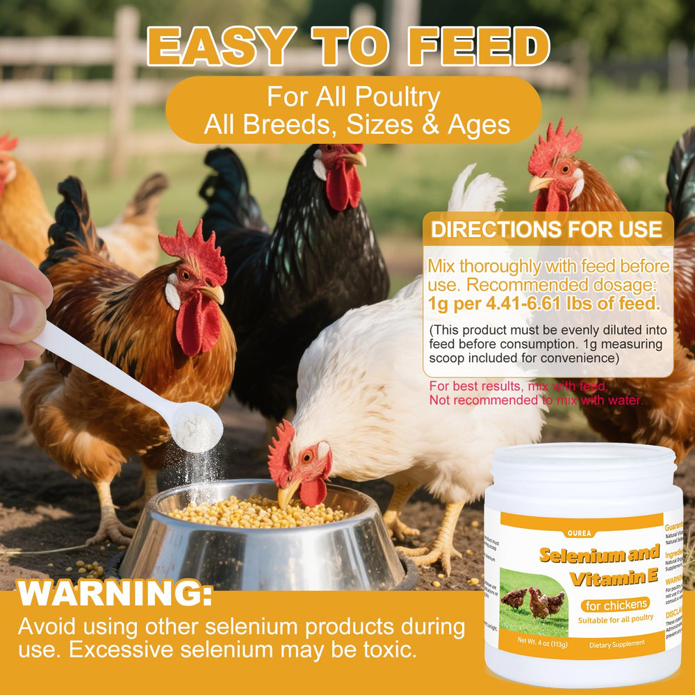 Ourea selenium and vitamin E powder for chickens during seasonal stress aids resilience