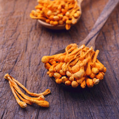 Active outdoor scene suggesting energy and focus with Cordyceps