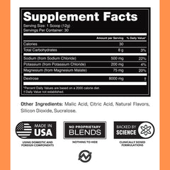 Outwork Nutrition Electrolytes Powder tub open closeup highlighting 30 servings