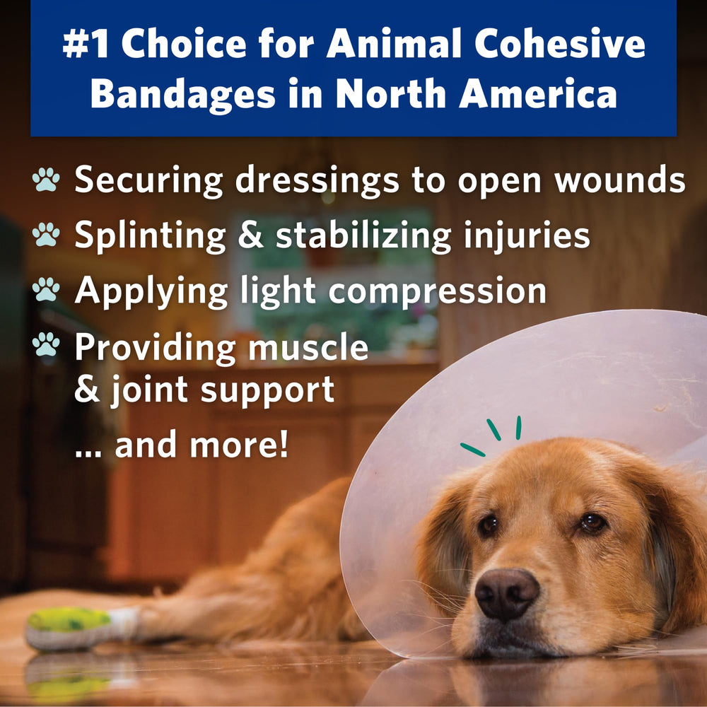 OVIK Health PetFlex self-adhering wrap stays in place on active pets