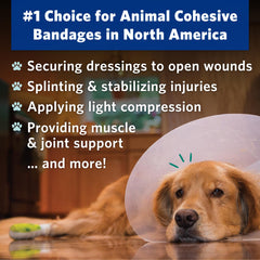 OVIK Health PetFlex self-adhering wrap stays in place on active pets