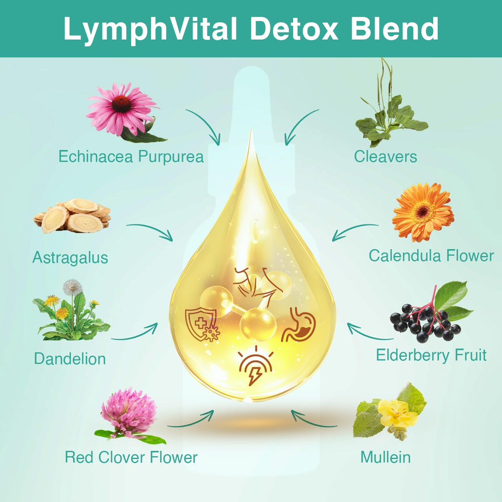 owegel Liposomal Lymphatic Drops dropper closeup demonstrates precise 2 ml serving.