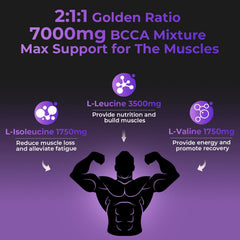 Illustration showing the 2-1-1 BCAA ratio for muscle support