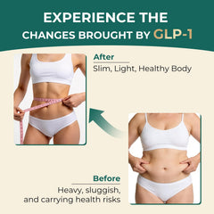 OxyEnergy gut health illustration highlighting Akkermansia muciniphila benefits