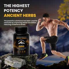 PakShilajit packaging box beside bottle emphasizes premium build.