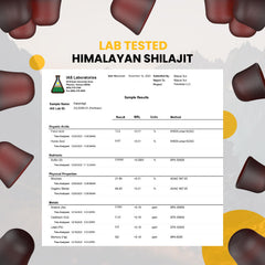 PakShilajit gummies ingredients fulvic acid highlights mineral rich formula