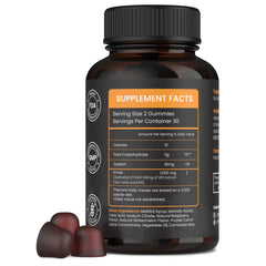 PakShilajit gummies travel friendly pack ready for on the go energy