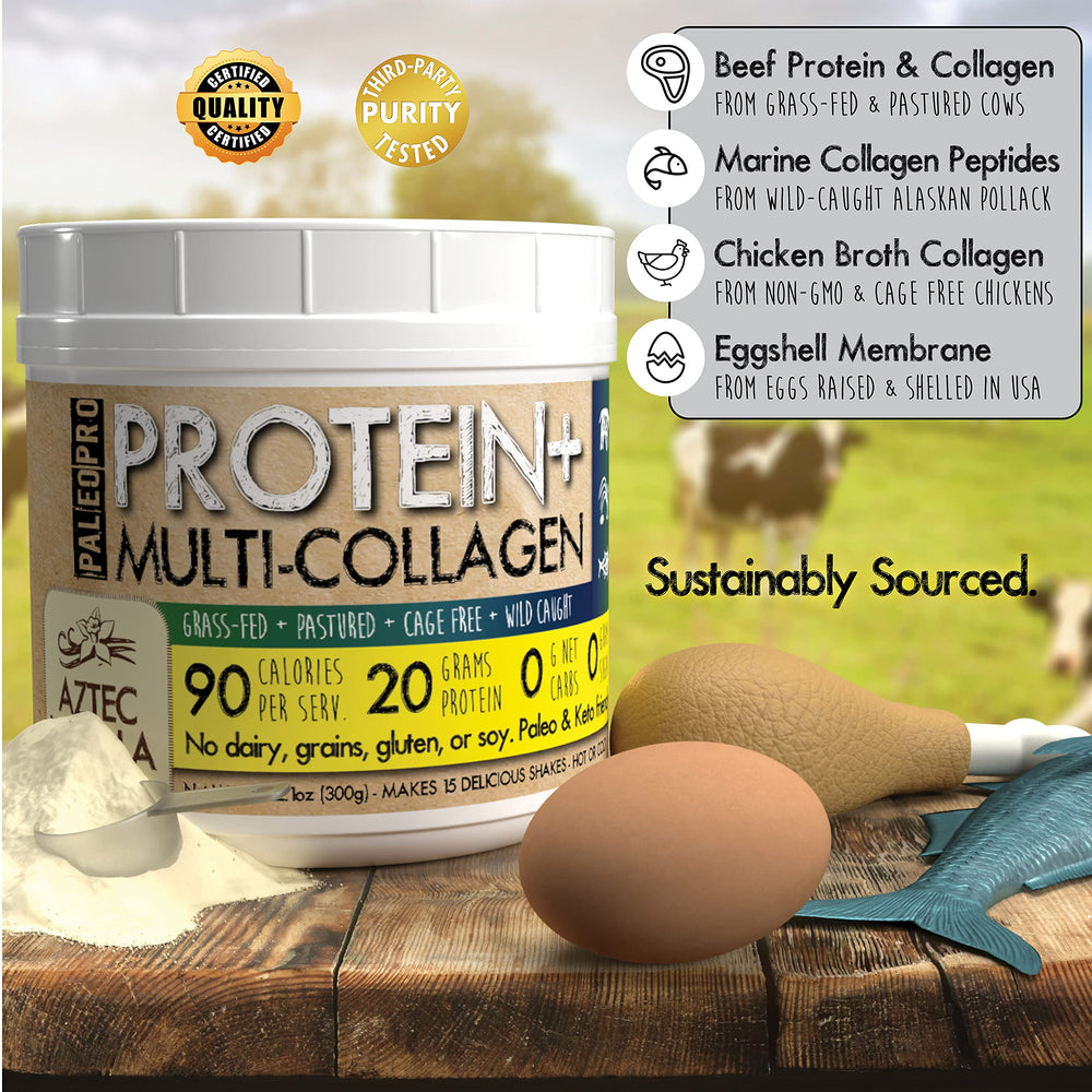 Ancient Cacao shake served in a glass reflecting premium real-food nutrition