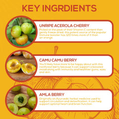 Paleovalley Essential C Complex dried ingredients close-up preserve nutrients.