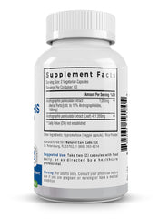 Palmara Health digestive comfort after meals image suggests potential support after eating