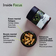 PALO Focus label details spotlight nine botanicals powering attention and memory.