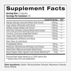 PALO Focus packaging box communicates vegan, non-GMO, gluten-free quality.