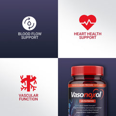 Panoxol Vasonoxol illustrated ingredients highlighting L-arginine and L-citrulline.