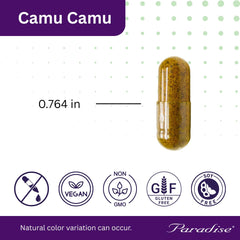 Paradise Herbs Camu Camu extract bottle with 180 capsules for long-term use.